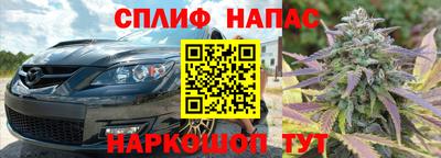 хмурый Гай