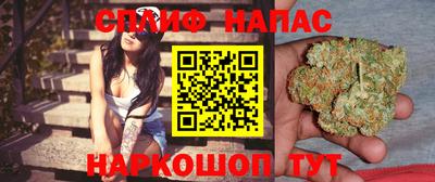 хмурый Гай