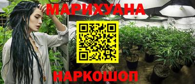 хмурый Гай
