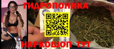 хмурый Гай