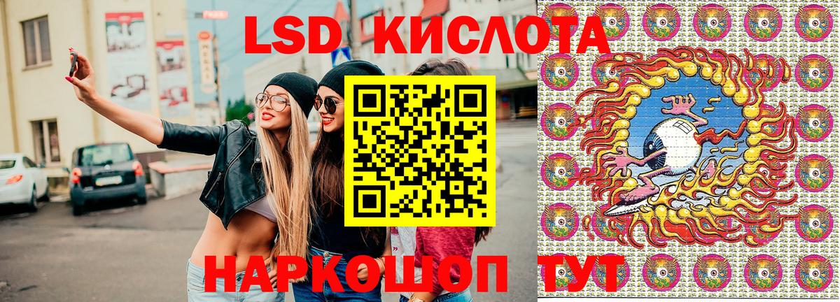 Галлюциногенные грибы Пугачёв