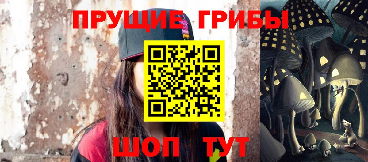 Пугачёв  Псилоцибиновые грибы Cubensis  Вход с VPN 
