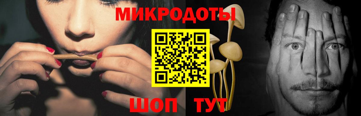 Галлюциногенные грибы мицелий Пугачёв